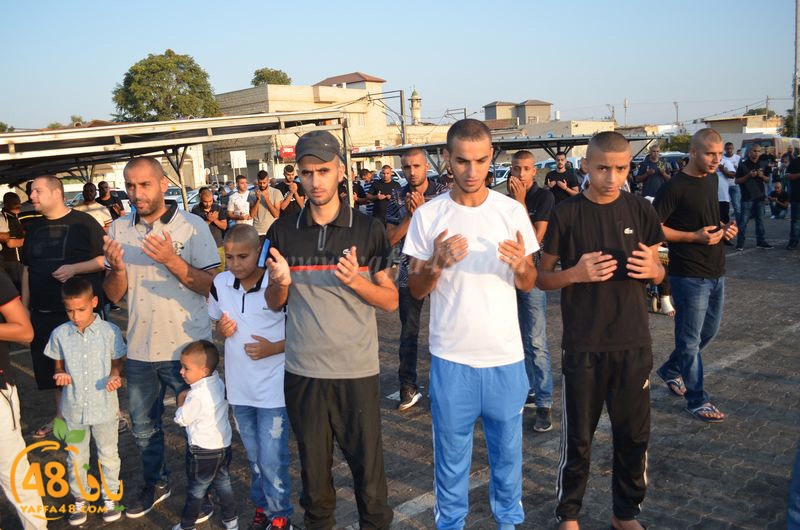 lud salah 3eed hq (11).JPG